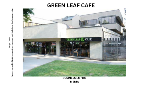 Charming cafe interior with green decor and natural light, featuring a menu of fresh and healthy vegetarian dishes at Green Leaf Cafe